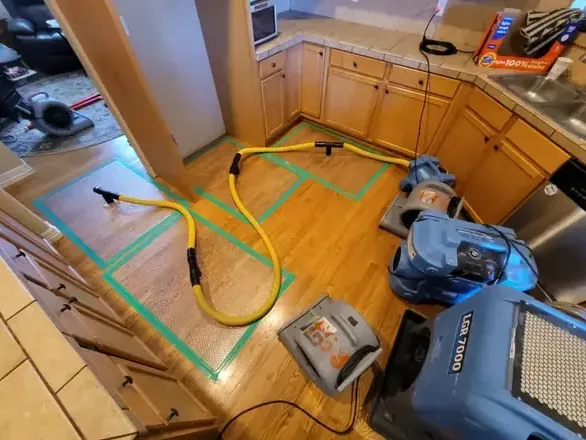 Hoses and drying equipment on wood flooring beside kitchen cabinets