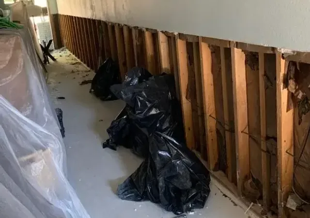 Lower wall opened to expose studs after water damage
