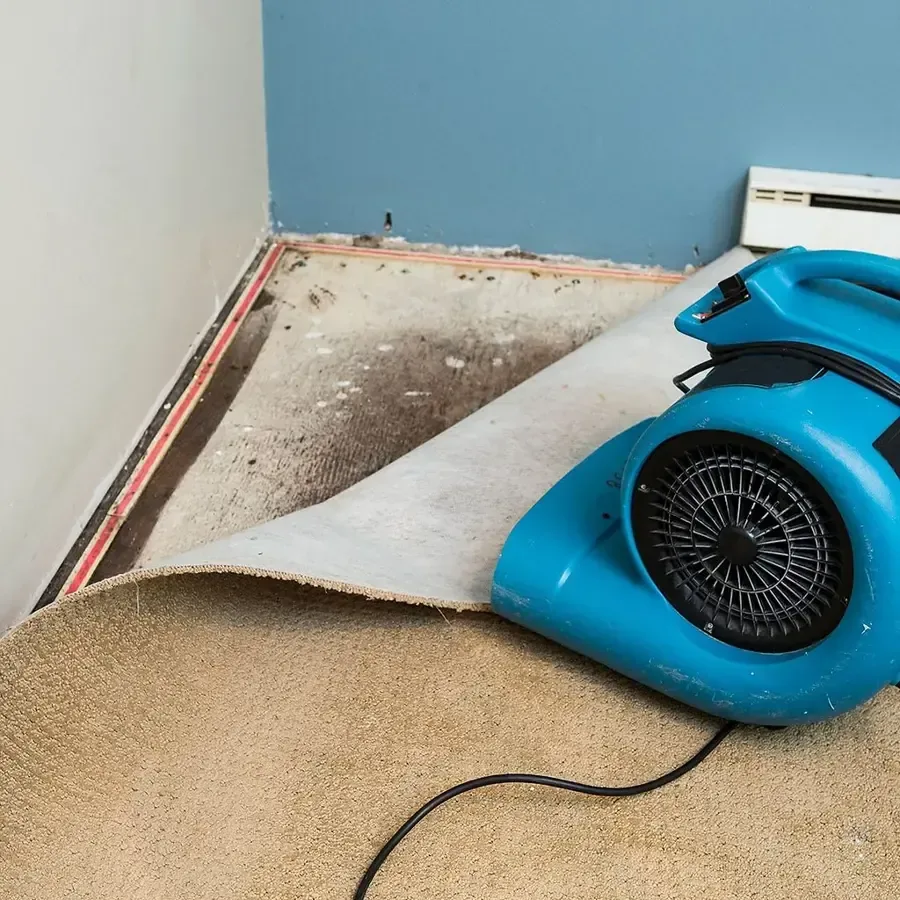 Carpet folded away from the floor while an air mover dries the exposed padding